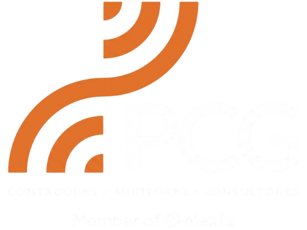 PCG Auditores Consultores